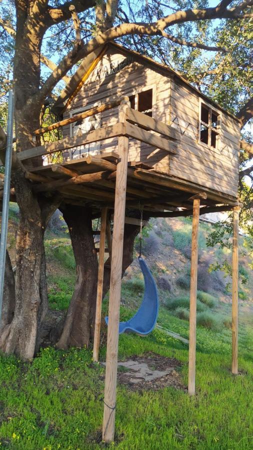The African House トロクス エクステリア 写真